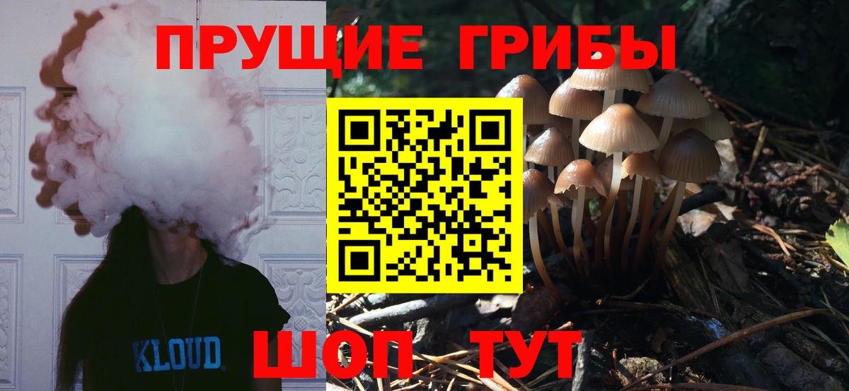 Псилоцибиновые грибы Psilocybe  Вход с VPN  Жуковский 