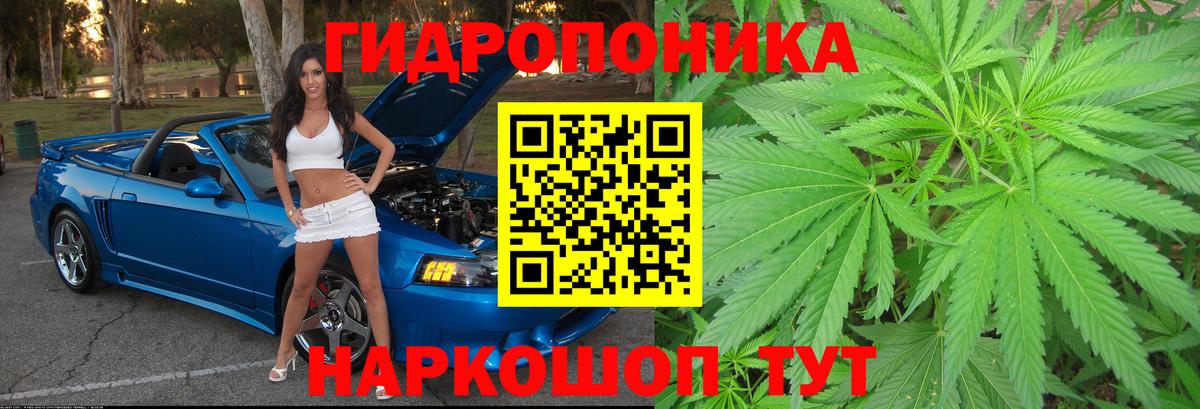 Шишки марихуана план  Бошки марихуана AK-47  Вход с VPN  Жуковский 